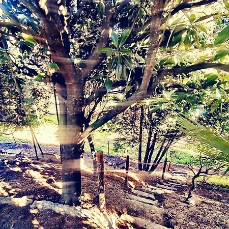 וילה Bessa's Village Torno